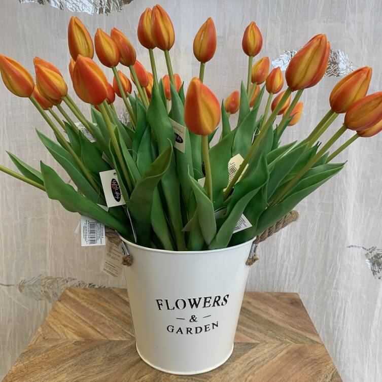 Tulipany